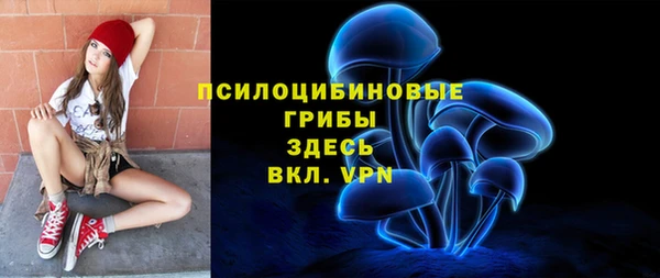 гидра Балахна