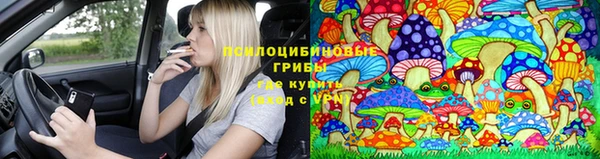 гидра Балахна