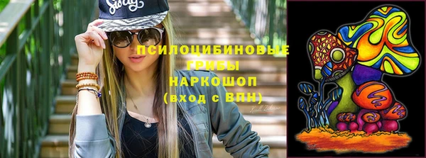 гидра Балахна